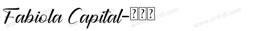 Fabiola Capital字体转换